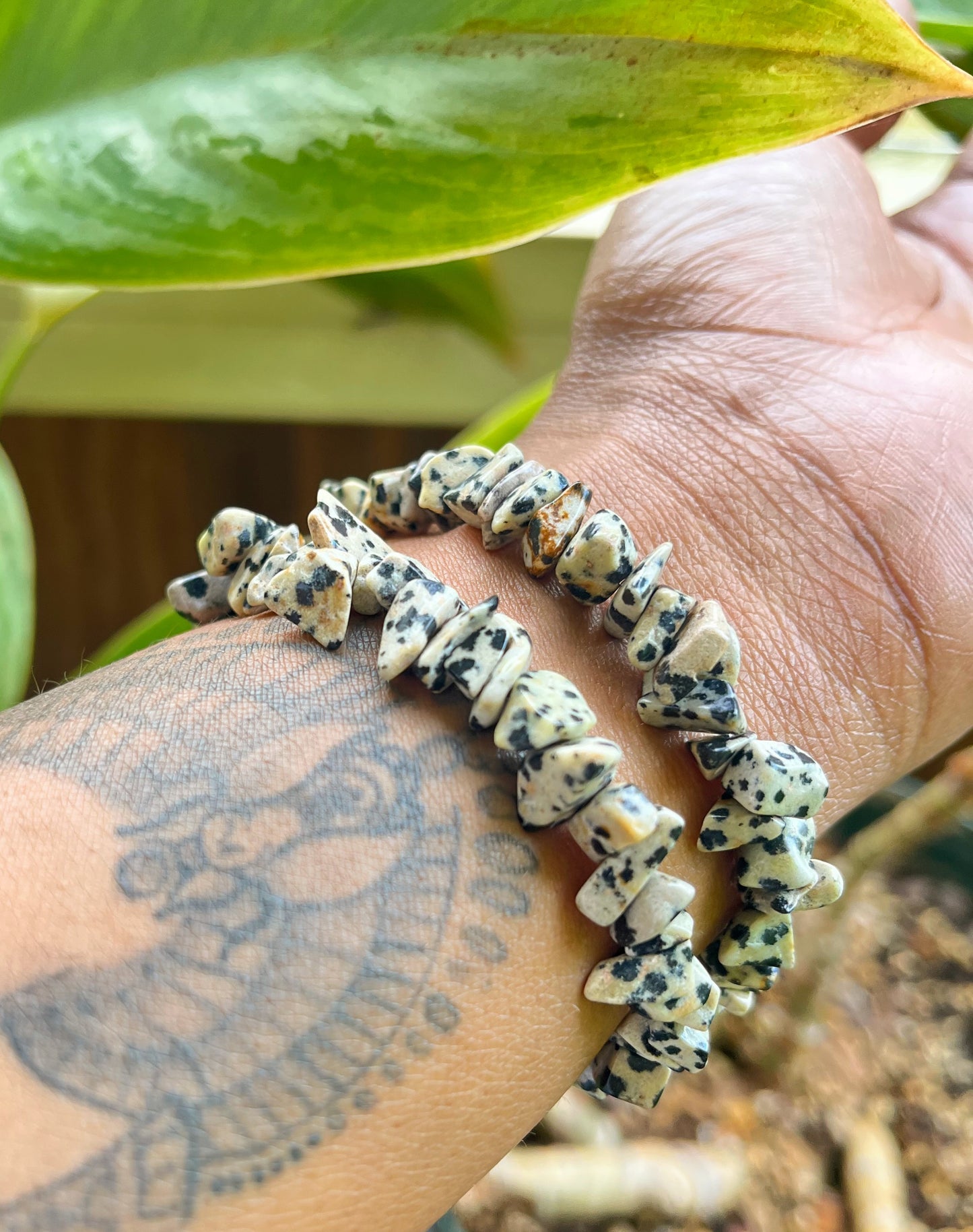 Natural Dalmatian Jasper Bracelet