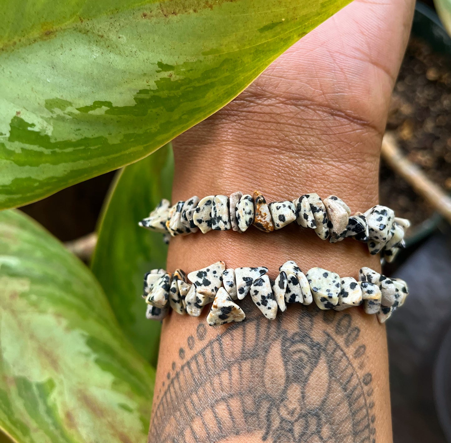 Natural Dalmatian Jasper Bracelet