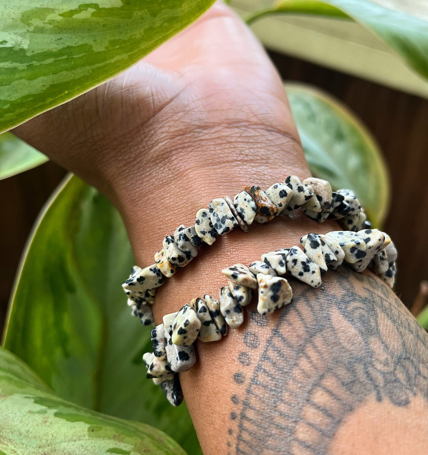 Natural Dalmatian Jasper Bracelet